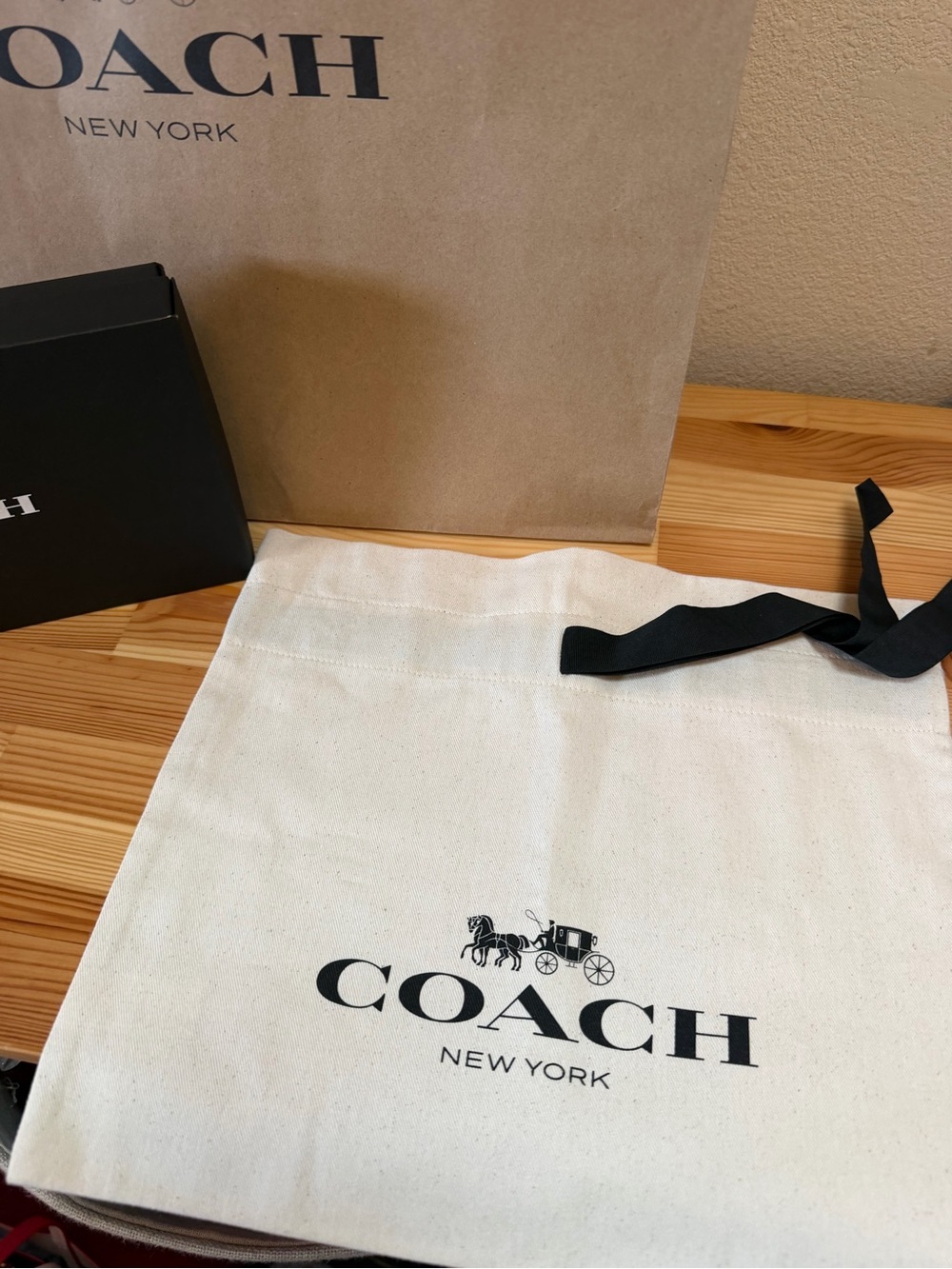 NWT Coach Teri Shoulder Bag | Refined Pebble Leather | Dust Bag Included - Picture 4 of 16